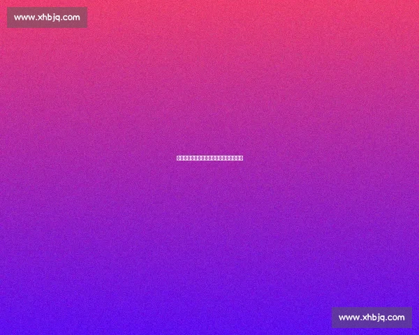 湖人对热火总决赛精彩回顾与关键时刻分析