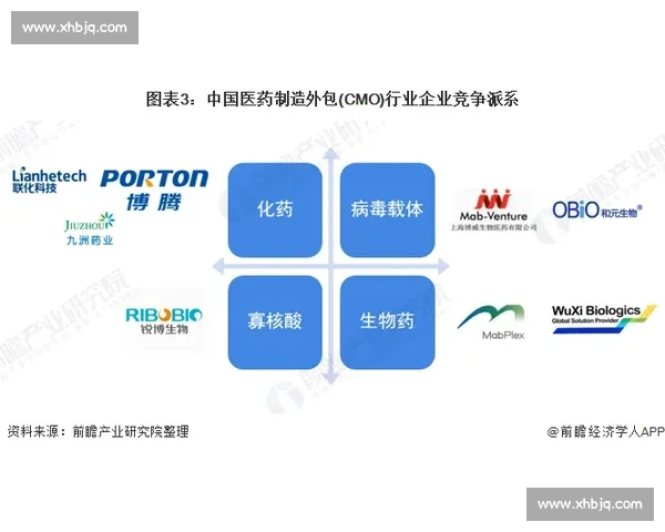 水星vs天猫电商生态竞争格局与平台模式深度对比解析用户体验 水星vs天猫电商生态竞争格局与平台模式深度对比解析用户体验