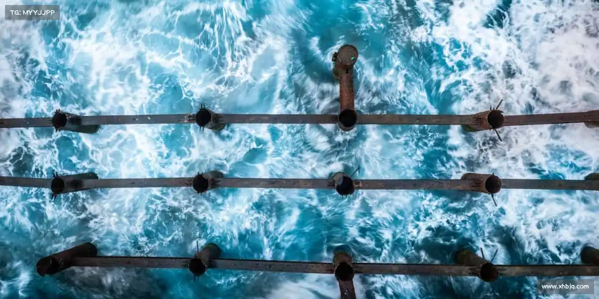 我们的品牌价值